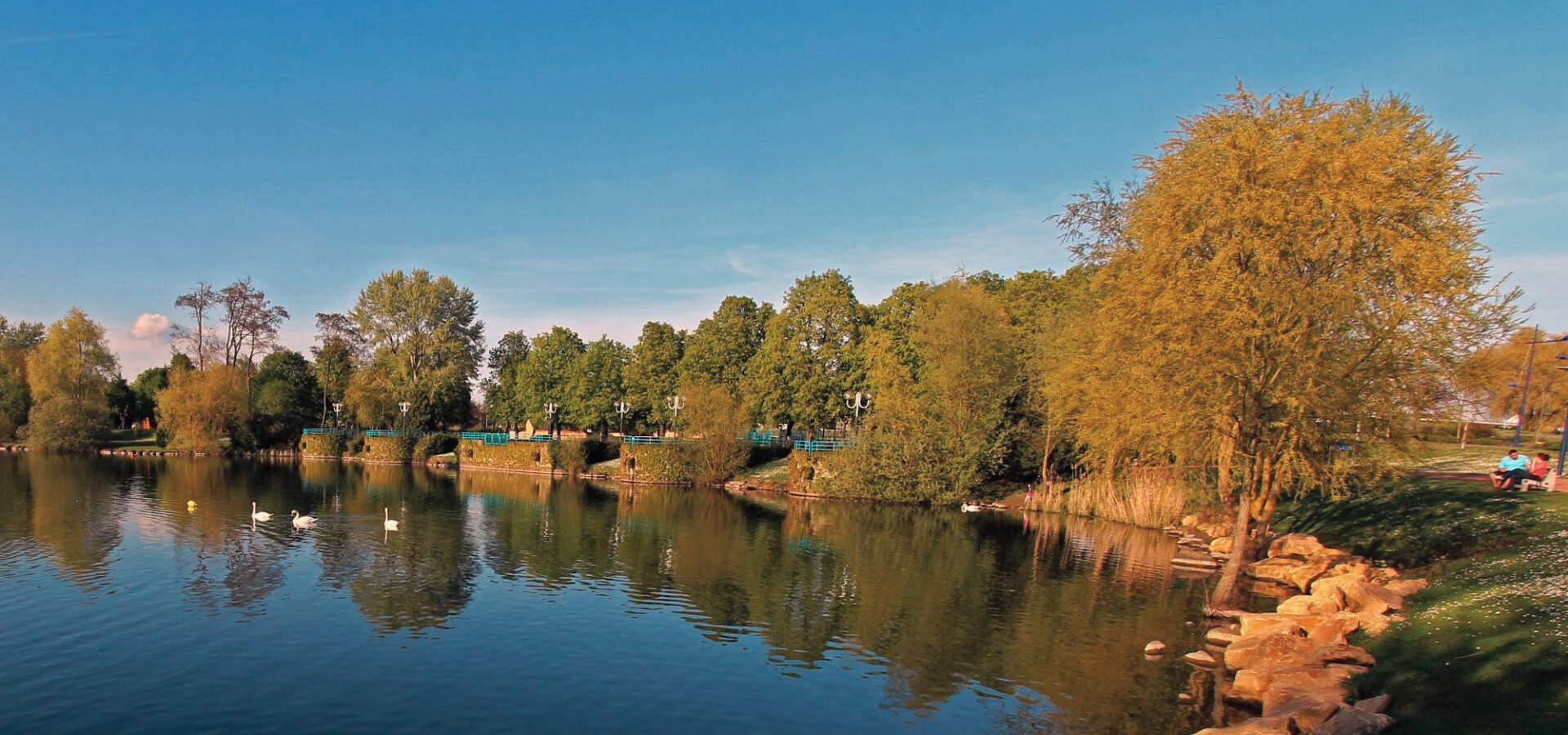 Etang de La Ballastière